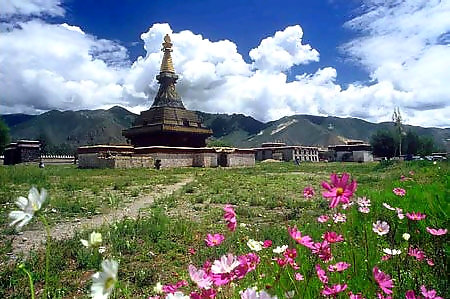西藏旅行问答