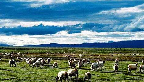 西藏旅游风光