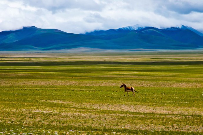 西藏将举办首届“美丽西藏”林业摄影大赛