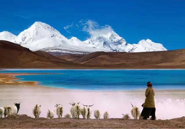 西藏“十一”国庆黄金周游客接待量破百万创历史新高