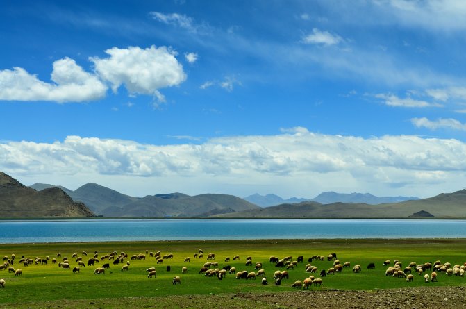 西藏阿里旅游 让我如此念念不忘的藏地之旅