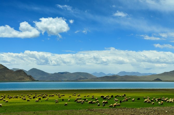 西藏阿里旅游