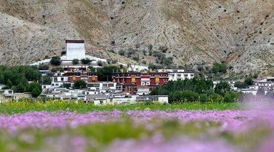 西藏古寺协·扎西格培寺迎来建寺700周年庆
