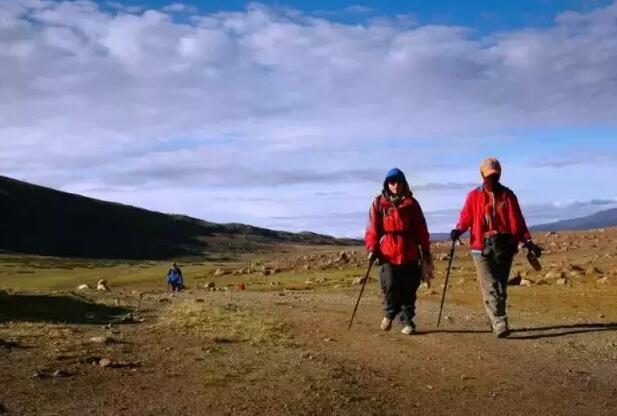 低价团遭遇严打，OTA迎来倒闭潮丨2016中国旅游业综述