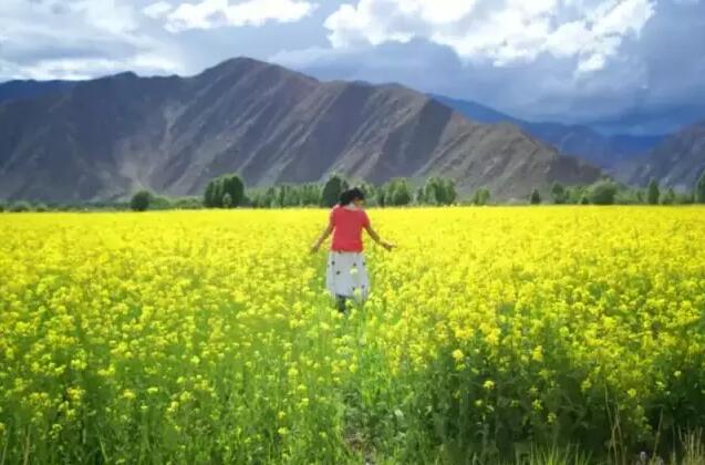 西藏旅游花费