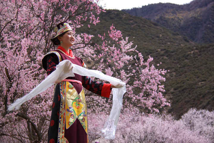 林芝桃花节将近 西藏旅行社热推桃花旅游线路