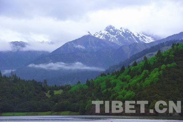 西藏林芝旅游“十三五”期间全力推进产业规模化发展