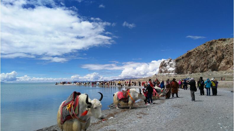 西藏旅游近期事件关注  拉萨上半年接待游客380余万人次