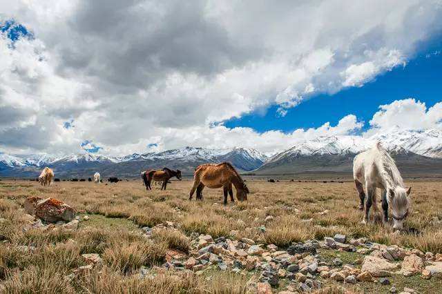 西藏各月各地区气温气候指南