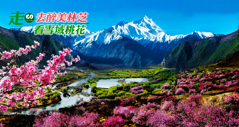 2023年林芝桃花节各地开幕时间地点